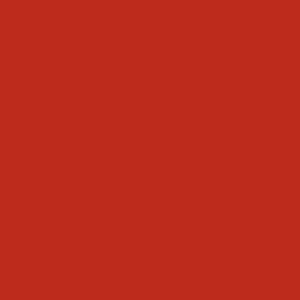 Apricot 29.342