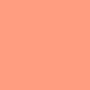 Chamois 10.132