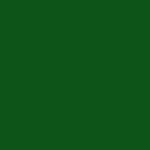 Grün Opak 29.321