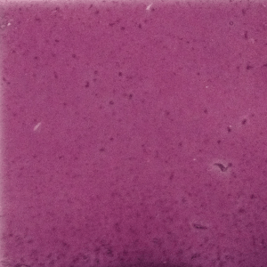 Violett Anémone 15.082